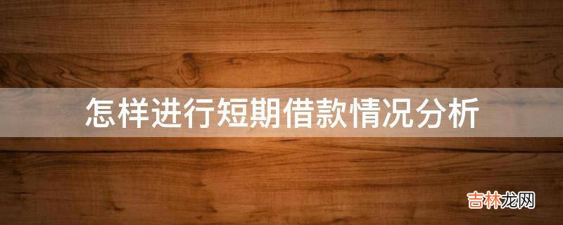 怎样进行短期借款情况分析?