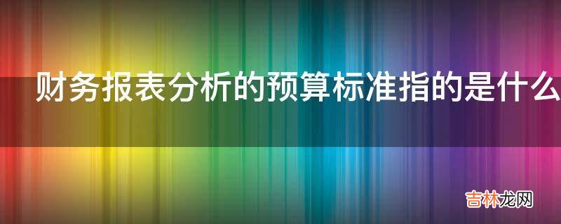 财务报表分析的预算标准指的是什么?