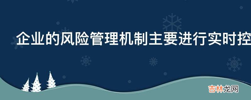 企业的风险管理机制主要进行实时控制吗?