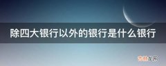 除四大银行以外的银行是什么银行?