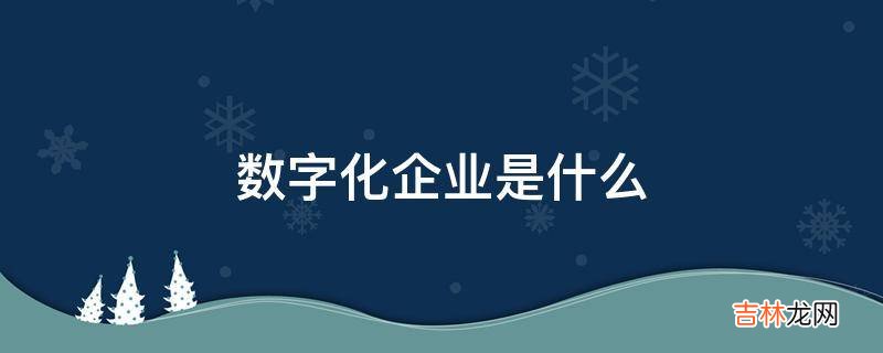 数字化企业是什么?