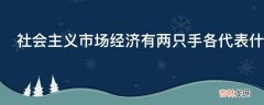 社会主义市场经济有两只手各代表什么?