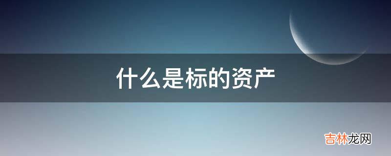 什么是标的资产?