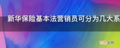 新华保险基本法营销员可分为几大系列几个层级几个级别?