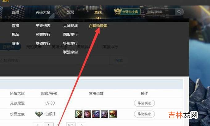 掌上英雄联盟怎么查别人战绩?