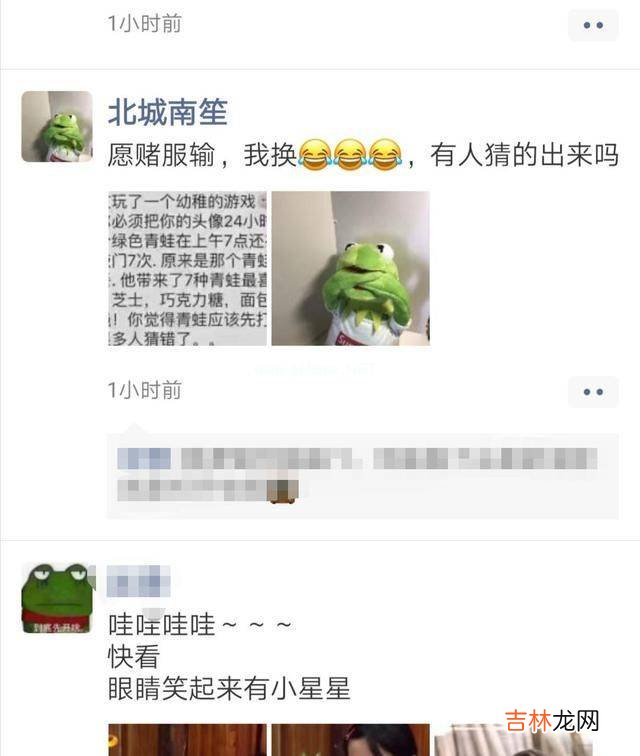 青蛙头像是什么梗?