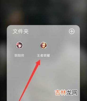 王者荣耀怎么查看金币使用记录?