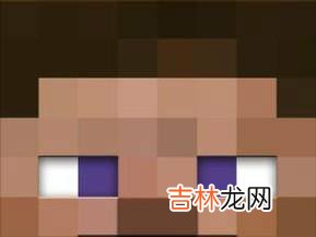 Minecraft113自定义村民合集?