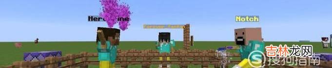 Minecraft113自定义村民合集?