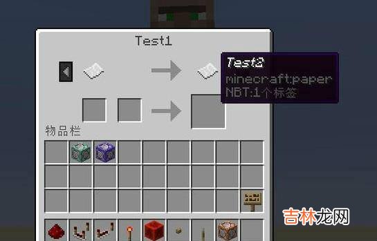 Minecraft113自定义村民合集?