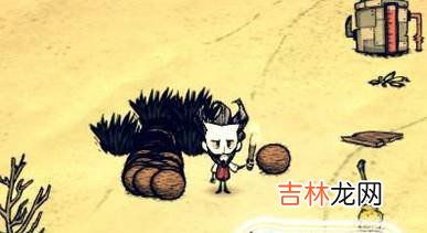 饥荒单机版怎么快速刷木头?