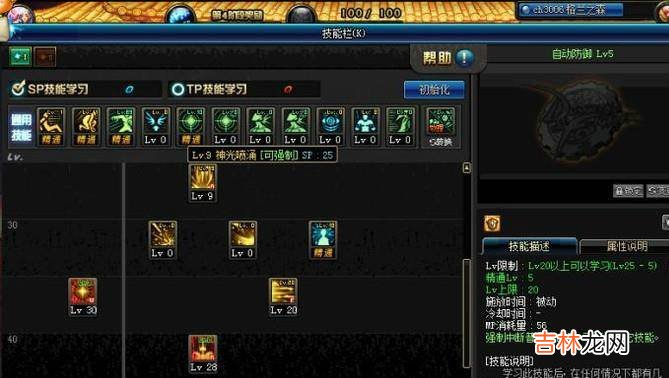 DNF90帕拉丁破晓女神辅助刷图加点?