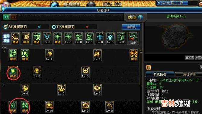 DNF90帕拉丁破晓女神辅助刷图加点?