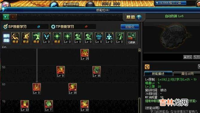 DNF90帕拉丁破晓女神辅助刷图加点?