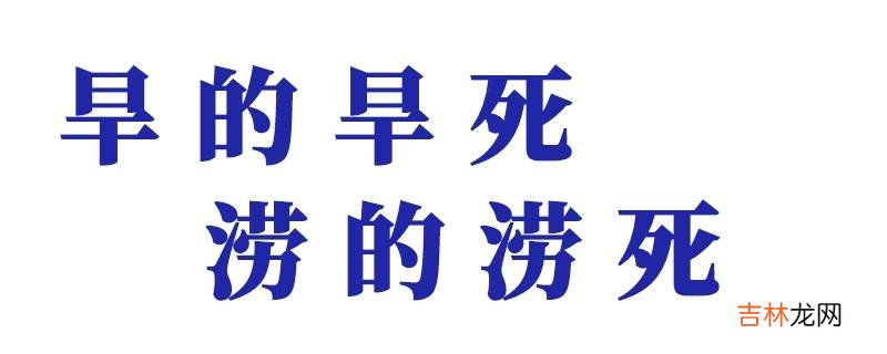 handhandsloudlouds是什么意思?