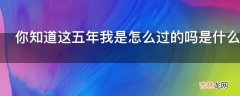 你知道这五年我是怎么过的吗是什么意思?