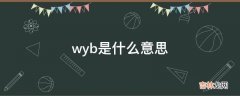 wyb是什么意思?