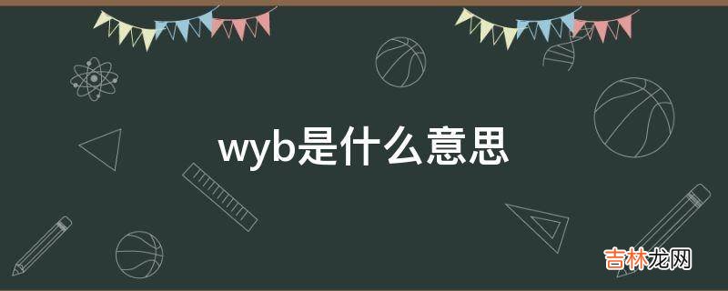 wyb是什么意思?