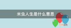 米虫人生是什么意思?