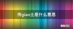 传giao士是什么意思?