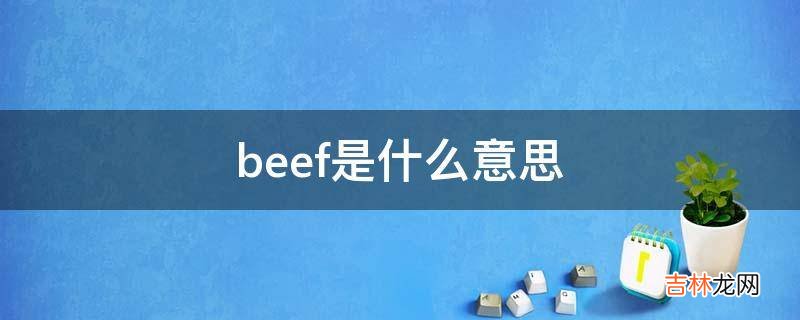 beef是什么意思?