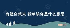 有胆你就来我单杀你是什么意思?