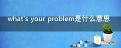 whatsyourproblem是什么意思?