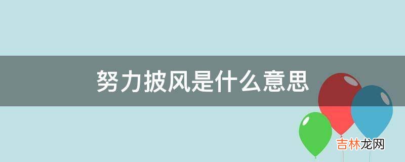 努力披风是什么意思?