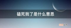 磕死我了是什么意思?