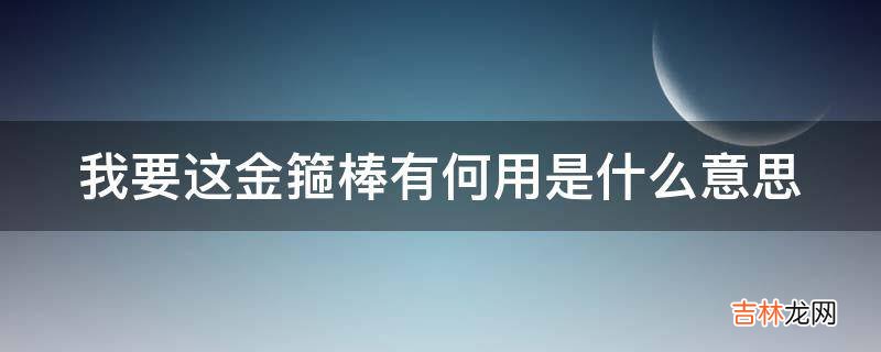 我要这金箍棒有何用是什么意思?