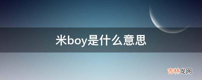 米boy是什么意思?