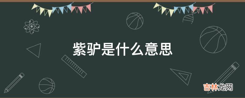 紫驴是什么意思?
