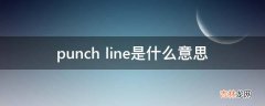 punchline是什么意思?