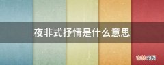 夜非式抒情是什么意思?