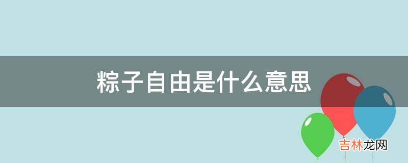 粽子自由是什么意思?