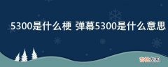 5300是什么梗?