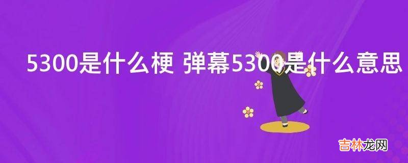 5300是什么梗?