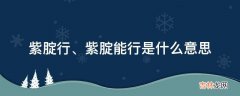 紫腚行是什么意思?