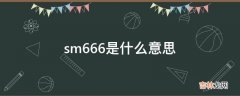 sm666是什么意思?