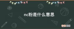 ?nc粉是什么意思?