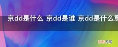 京dd是什么?