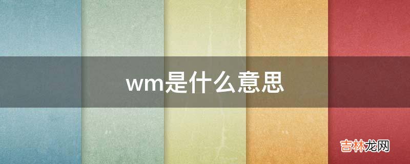 wm是什么意思?