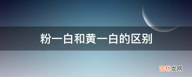 粉一白和黄一白的区别?