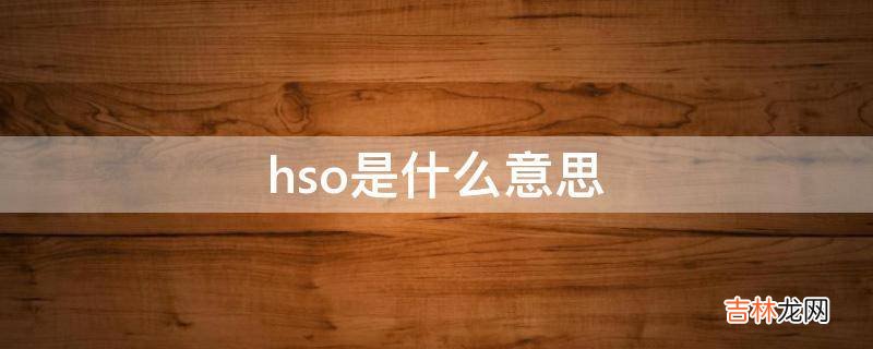 hso是什么意思?