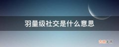 羽量级社交是什么意思?