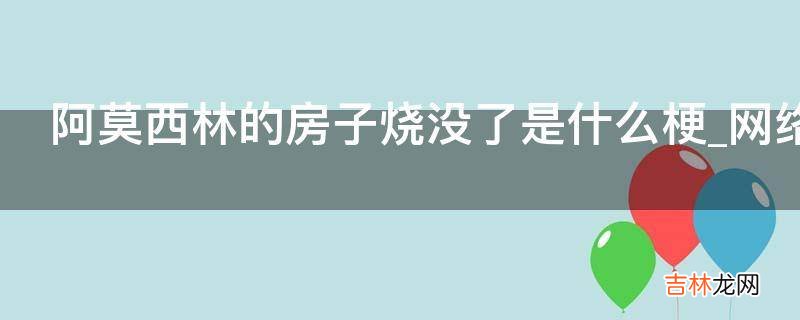 阿莫西林的房子烧没了是什么梗?