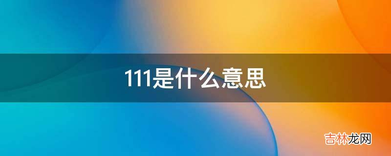 111是什么意思?