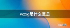 wzxg是什么意思?