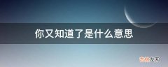 你又知道了是什么意思?