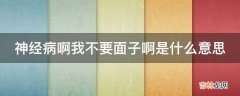 神经病啊我不要面子啊是什么意思?